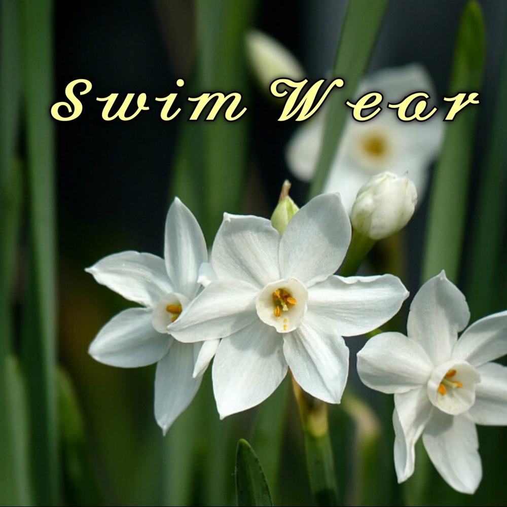 😎 Bathing Suits 🩱